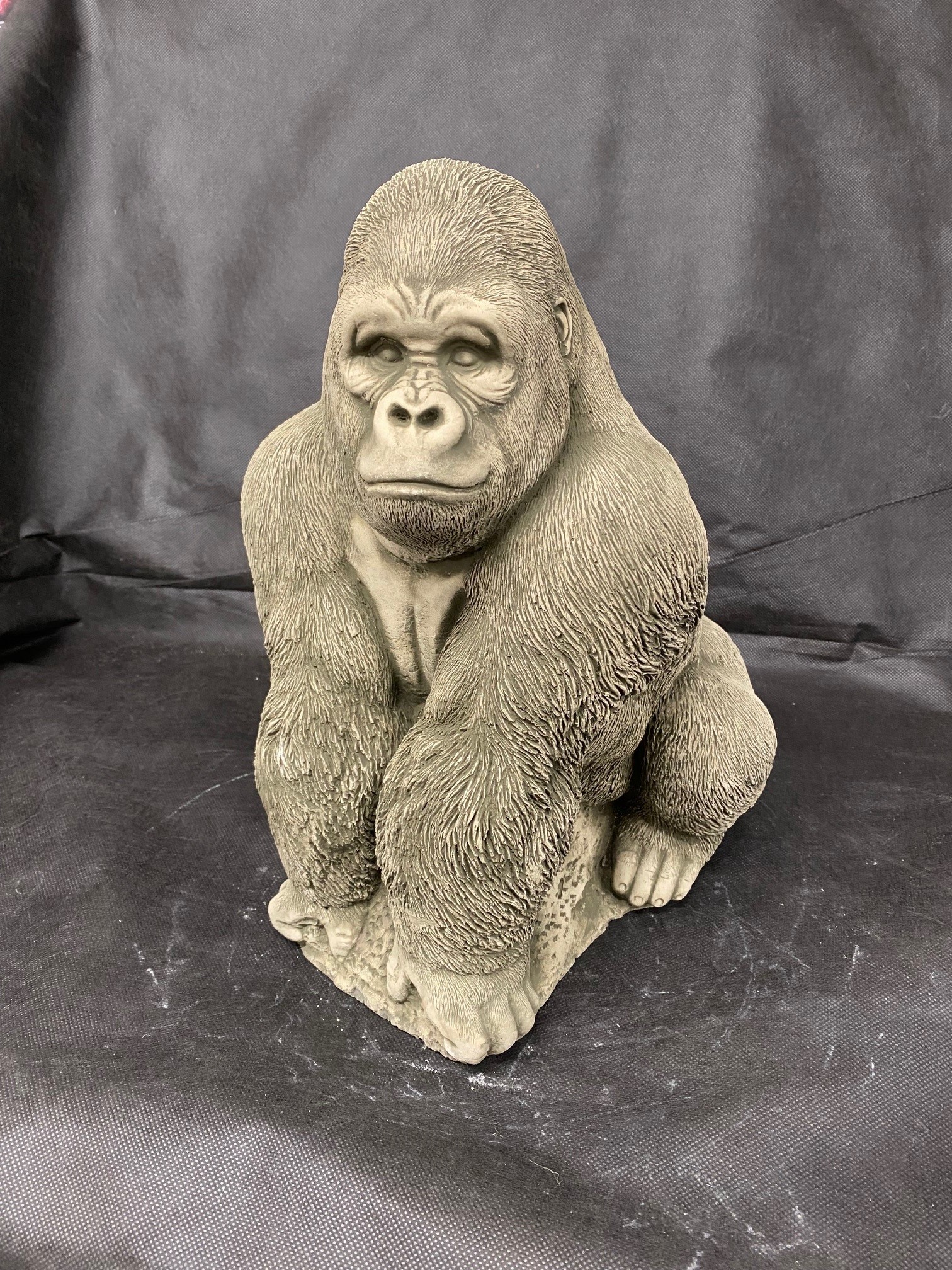 Gorilla 1 Shropshire | Co. Statue Telford, Garden TAFS