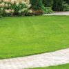 Value for money with no compromise on quality A value for money general landscape mix with reliable amenity turfgrasses Suitable for professional landscaping and domestic lawns, forming a dense and durable turf Fast to establish